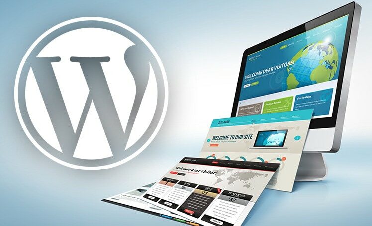 wordpress formation syzan academy